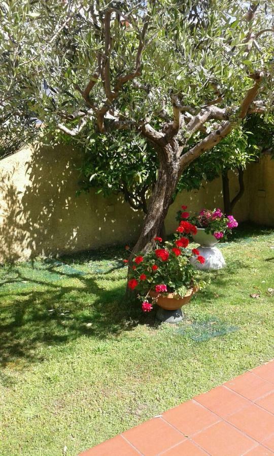 La Casina Dell'annetta *